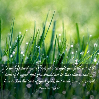 Picture 03 - Leviticus 26:13 WEB - I am Yahweh your God, who brought you forth out - Bible Verse Picture