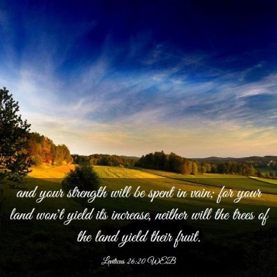 Picture 03 - Leviticus 26:20 WEB - and your strength will be spent in vain; for your - Bible Verse Picture