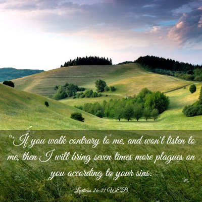 Picture 03 - Leviticus 26:21 WEB - 
