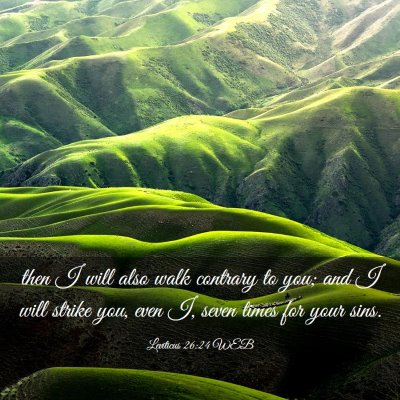 Picture 03 - Leviticus 26:24 WEB - then I will also walk contrary to you; and I will - Bible Verse Picture