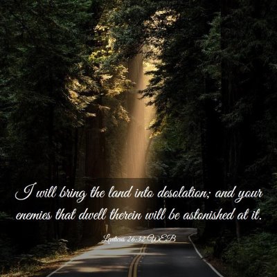 Picture 03 - Leviticus 26:32 WEB - I will bring the land into desolation; and your - Bible Verse Picture