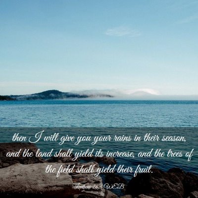 Picture 03 - Leviticus 26:4 WEB - then I will give you your rains in their season, - Bible Verse Picture