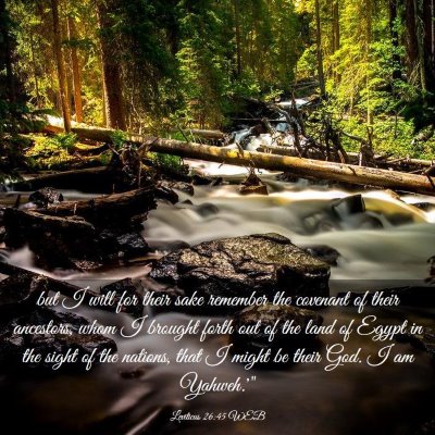 Picture 03 - Leviticus 26:45 WEB - but I will for their sake remember the covenant - Bible Verse Picture