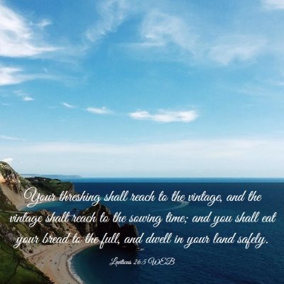 Picture 03 - Leviticus 26:5 WEB - Your threshing shall reach to the vintage, and - Bible Verse Picture