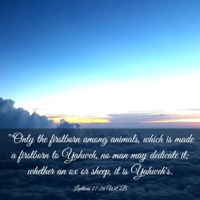 Picture 03 - Leviticus 27:26 WEB - 