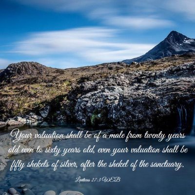 Picture 03 - Leviticus 27:3 WEB - Your valuation shall be of a male from twenty - Bible Verse Picture