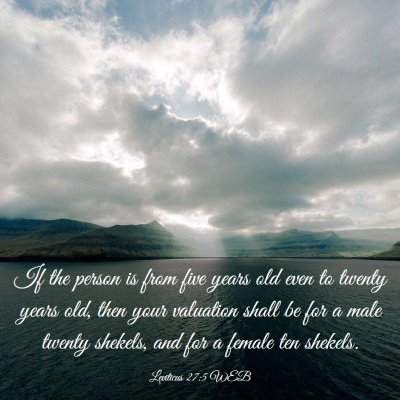 Picture 03 - Leviticus 27:5 WEB - If the person is from five years old even to - Bible Verse Picture