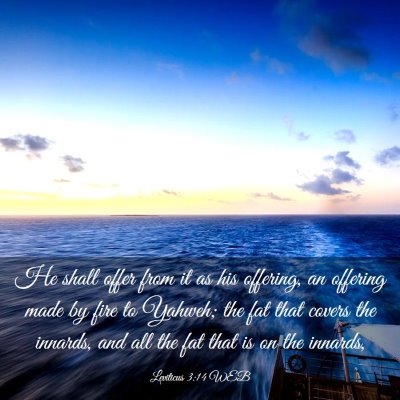 Picture 03 - Leviticus 3:14 WEB - He shall offer from it as his offering, an - Bible Verse Picture