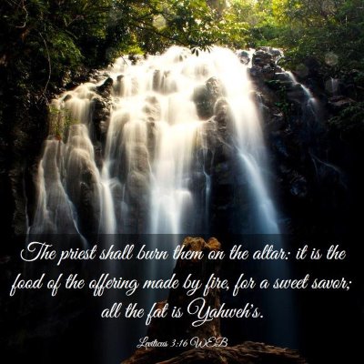 Picture 03 - Leviticus 3:16 WEB - The priest shall burn them on the altar: it is - Bible Verse Picture
