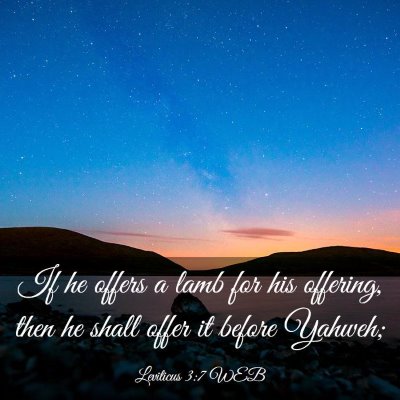 Picture 03 - Leviticus 3:7 WEB - If he offers a lamb for his offering, then he - Bible Verse Picture