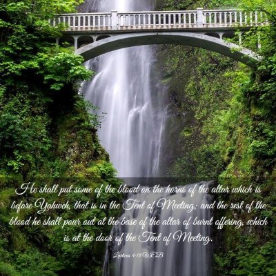Picture 03 - Leviticus 4:18 WEB - He shall put some of the blood on the horns of - Bible Verse Picture