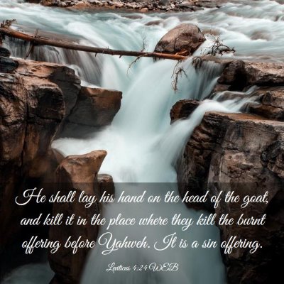Picture 03 - Leviticus 4:24 WEB - He shall lay his hand on the head of the goat, - Bible Verse Picture