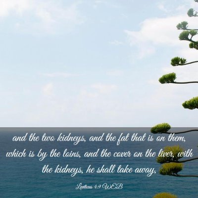 Picture 03 - Leviticus 4:9 WEB - and the two kidneys, and the fat that is on them, - Bible Verse Picture