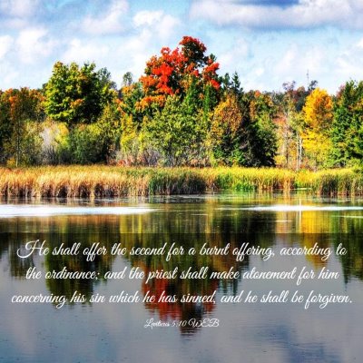 Picture 03 - Leviticus 5:10 WEB - He shall offer the second for a burnt offering, - Bible Verse Picture