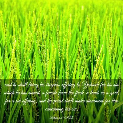 Picture 03 - Leviticus 5:6 WEB - and he shall bring his trespass offering to - Bible Verse Picture
