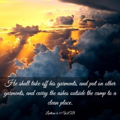 Picture 03 - Leviticus 6:11 WEB - He shall take off his garments, and put on other - Bible Verse Picture