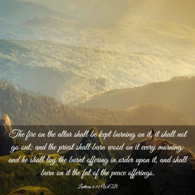 Picture 03 - Leviticus 6:12 WEB - The fire on the altar shall be kept burning on - Bible Verse Picture