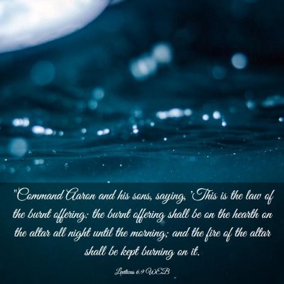 Picture 03 - Leviticus 6:9 WEB - 
