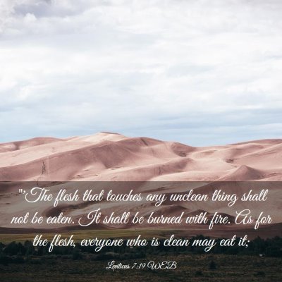 Picture 03 - Leviticus 7:19 WEB - 
