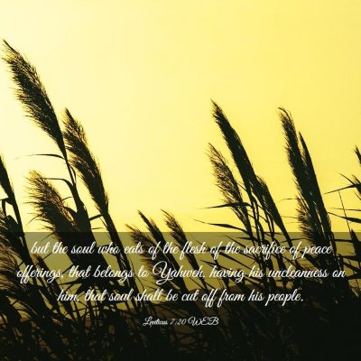 Picture 03 - Leviticus 7:20 WEB - but the soul who eats of the flesh of the - Bible Verse Picture