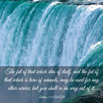 Picture 03 - Leviticus 7:24 WEB - The fat of that which dies of itself, and the fat - Bible Verse Picture