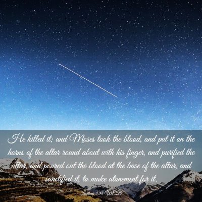 Picture 03 - Leviticus 8:15 WEB - He killed it; and Moses took the blood, and put - Bible Verse Picture