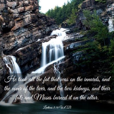 Picture 03 - Leviticus 8:16 WEB - He took all the fat that was on the innards, and - Bible Verse Picture