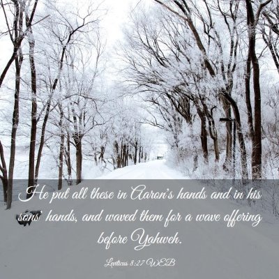 Picture 03 - Leviticus 8:27 WEB - He put all these in Aaron's hands and in his - Bible Verse Picture