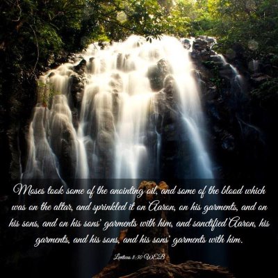 Picture 03 - Leviticus 8:30 WEB - Moses took some of the anointing oil, and some of - Bible Verse Picture