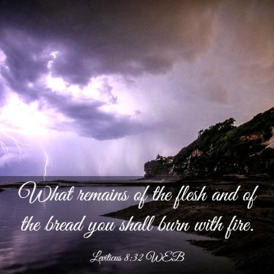 Picture 03 - Leviticus 8:32 WEB - What remains of the flesh and of the bread you - Bible Verse Picture