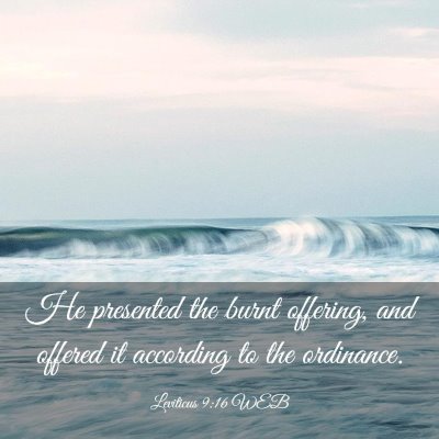 Picture 03 - Leviticus 9:16 WEB - He presented the burnt offering, and offered it - Bible Verse Picture
