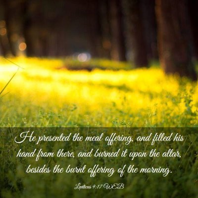 Picture 03 - Leviticus 9:17 WEB - He presented the meal offering, and filled his - Bible Verse Picture