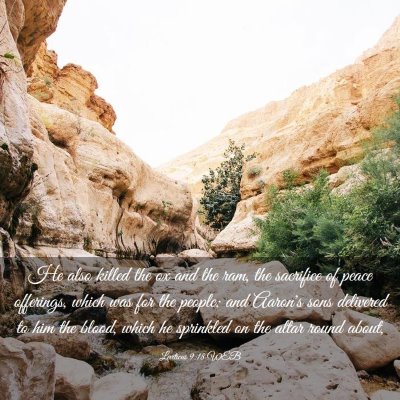 Picture 03 - Leviticus 9:18 WEB - He also killed the ox and the ram, the sacrifice - Bible Verse Picture
