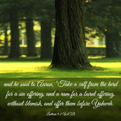 Picture 03 - Leviticus 9:2 WEB - and he said to Aaron, 