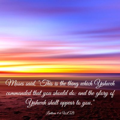 Picture 03 - Leviticus 9:6 WEB - Moses said, 
