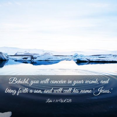 Picture 03 - Luke 1:31 WEB - Behold, you will conceive in your womb, and bring - Bible Verse Picture