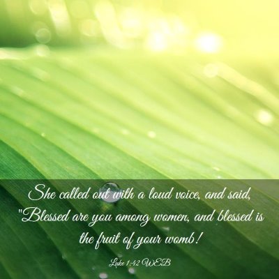 Picture 03 - Luke 1:42 WEB - She called out with a loud voice, and said, - Bible Verse Picture