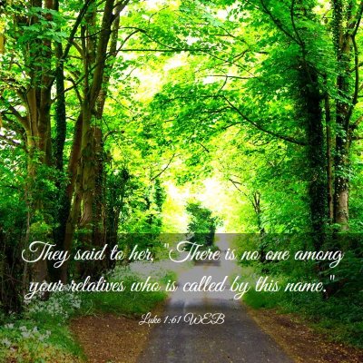 Picture 03 - Luke 1:61 WEB - They said to her, 