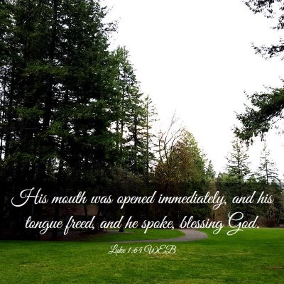 Picture 03 - Luke 1:64 WEB - His mouth was opened immediately, and his tongue - Bible Verse Picture