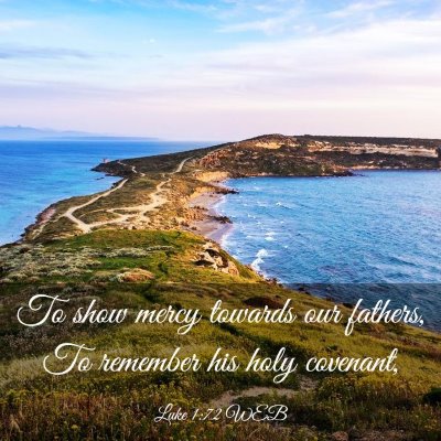 Picture 03 - Luke 1:72 WEB - To show mercy towards our fathers, To remember - Bible Verse Picture