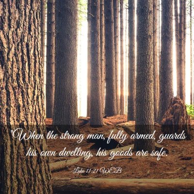 Picture 03 - Luke 11:21 WEB - 