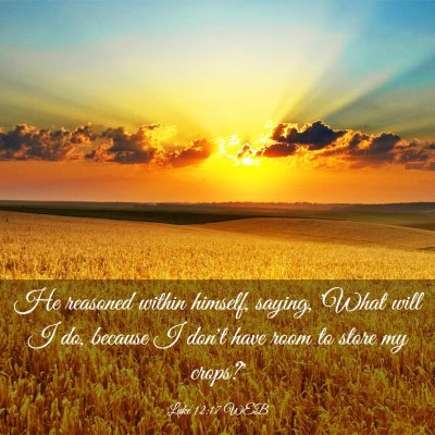 Picture 03 - Luke 12:17 WEB - He reasoned within himself, saying, 'What will I - Bible Verse Picture