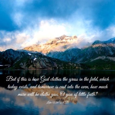 Picture 03 - Luke 12:28 WEB - But if this is how God clothes the grass in the - Bible Verse Picture
