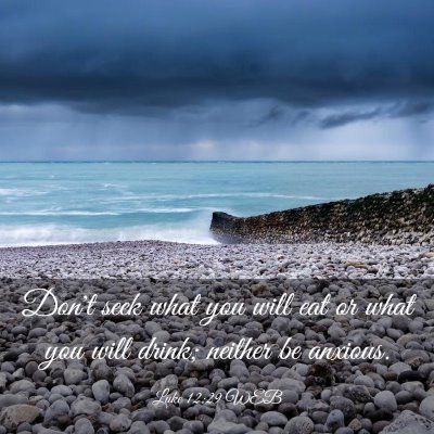 Picture 03 - Luke 12:29 WEB - Don't seek what you will eat or what you will - Bible Verse Picture