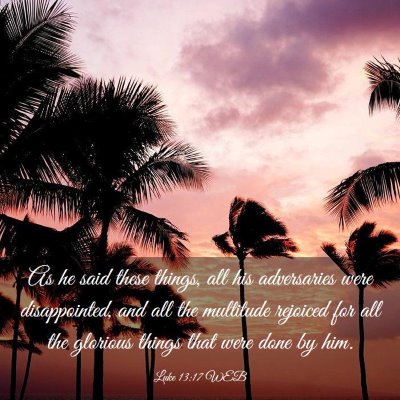 Picture 03 - Luke 13:17 WEB - As he said these things, all his adversaries were - Bible Verse Picture