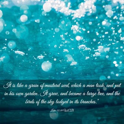 Picture 03 - Luke 13:19 WEB - It is like a grain of mustard seed, which a man - Bible Verse Picture