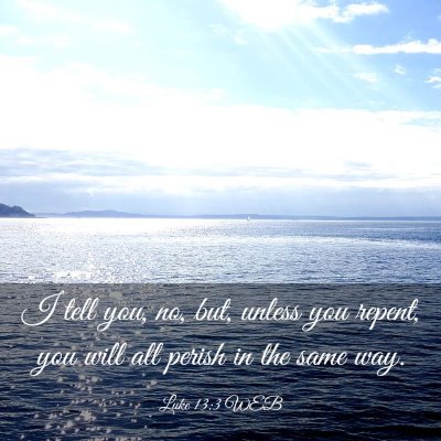 Picture 03 - Luke 13:3 WEB - I tell you, no, but, unless you repent, you will - Bible Verse Picture