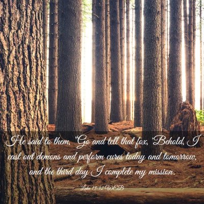 Picture 03 - Luke 13:32 WEB - He said to them, 