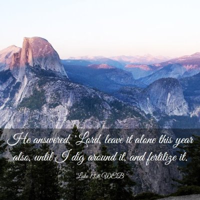 Picture 03 - Luke 13:8 WEB - He answered, 'Lord, leave it alone this year - Bible Verse Picture