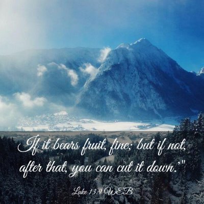 Picture 03 - Luke 13:9 WEB - If it bears fruit, fine; but if not, after that, - Bible Verse Picture